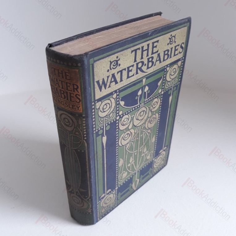 The Water Babies: A Fairy Take for a Land-Baby