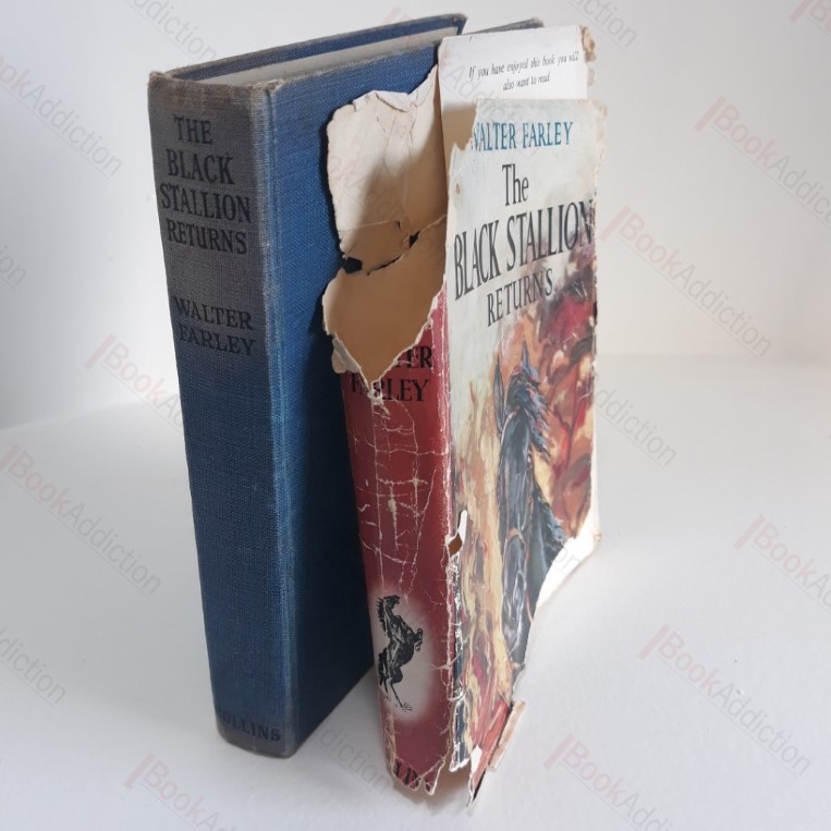 The Black Stallion Returns