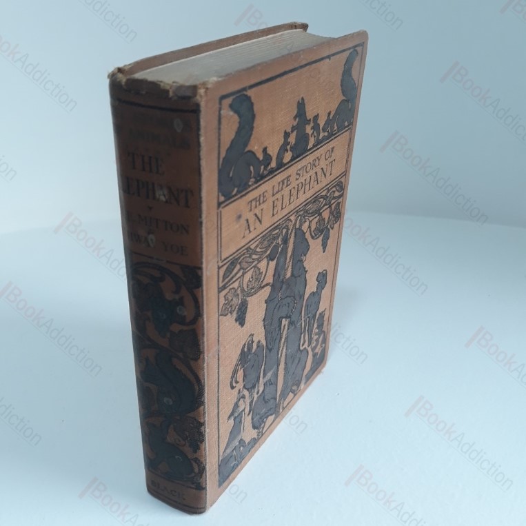 The Life Story of an Elephant