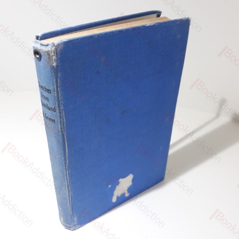 Sketches from Maoriland