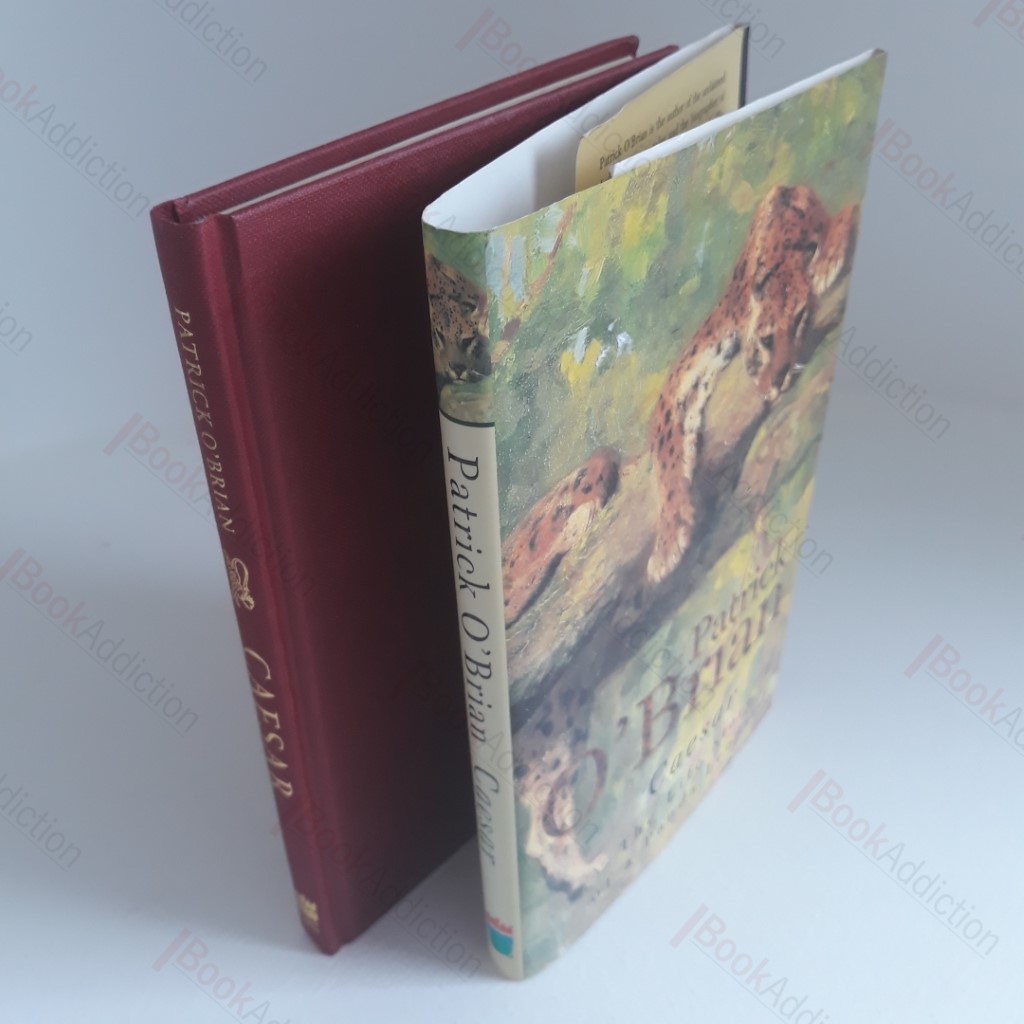 Caesar : The Life Story of a Panda Leopard