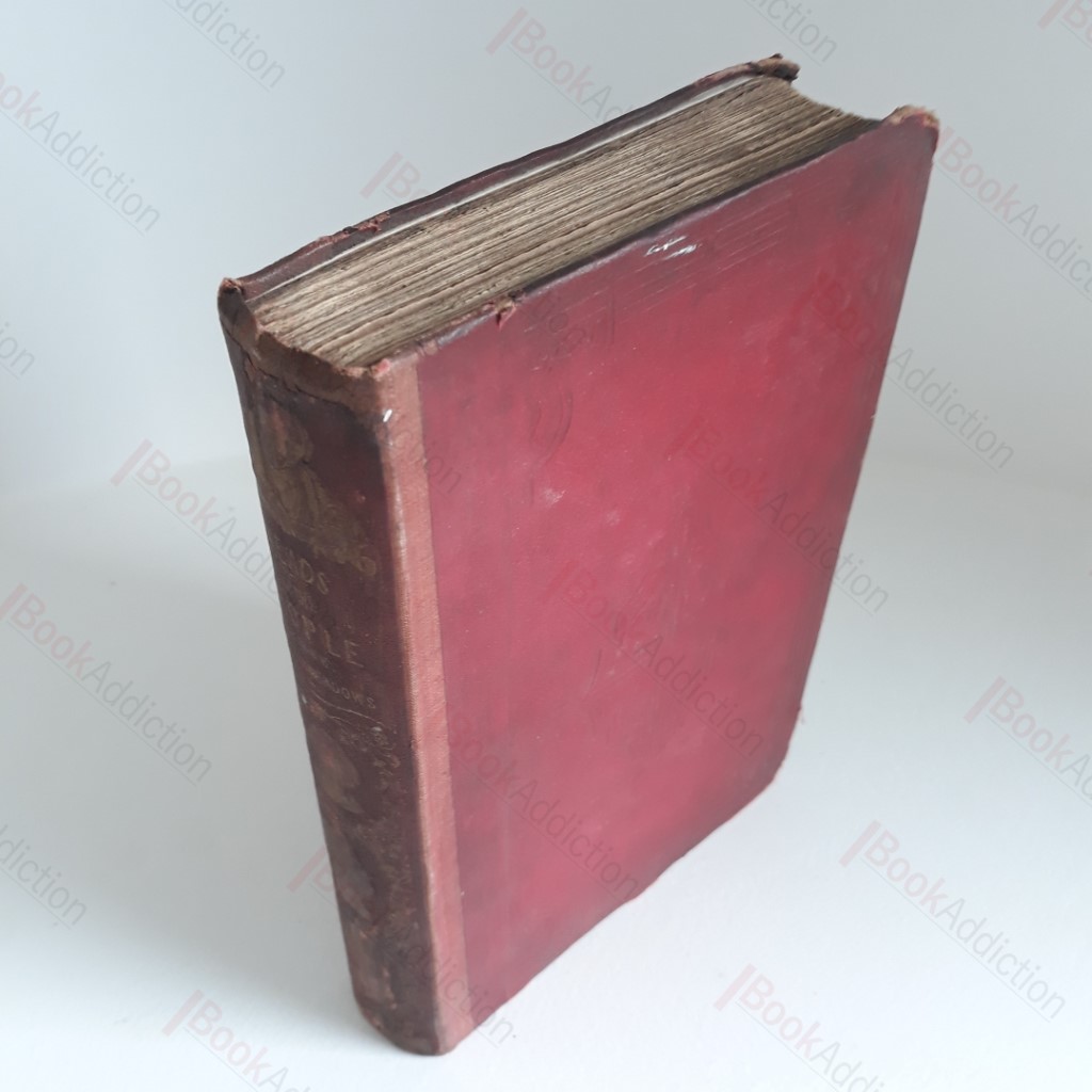 Heads of the People : Portraits of the English