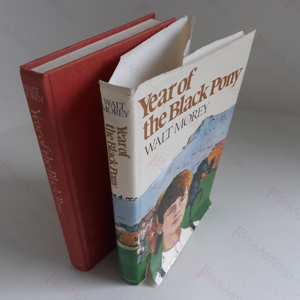 Year of the Black Pony