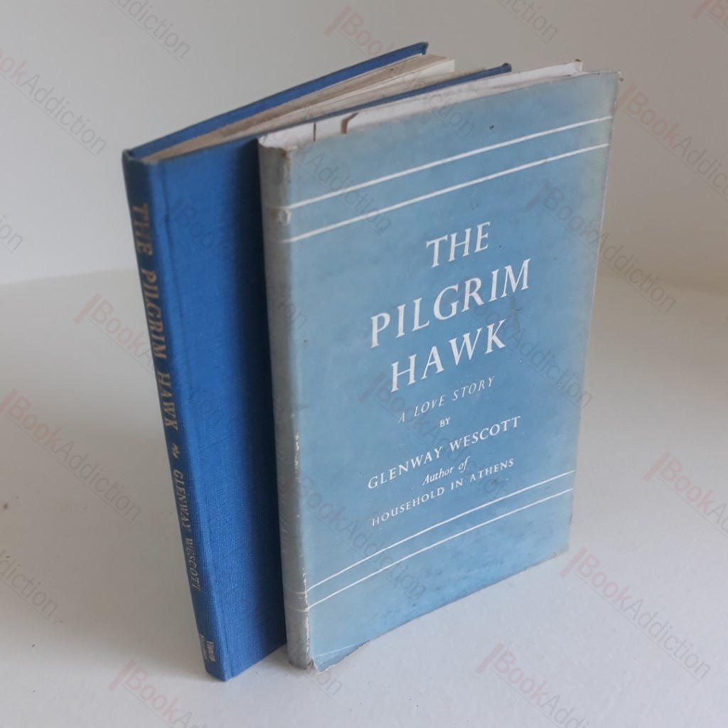 The Pilgrim Hawk : A Love Story