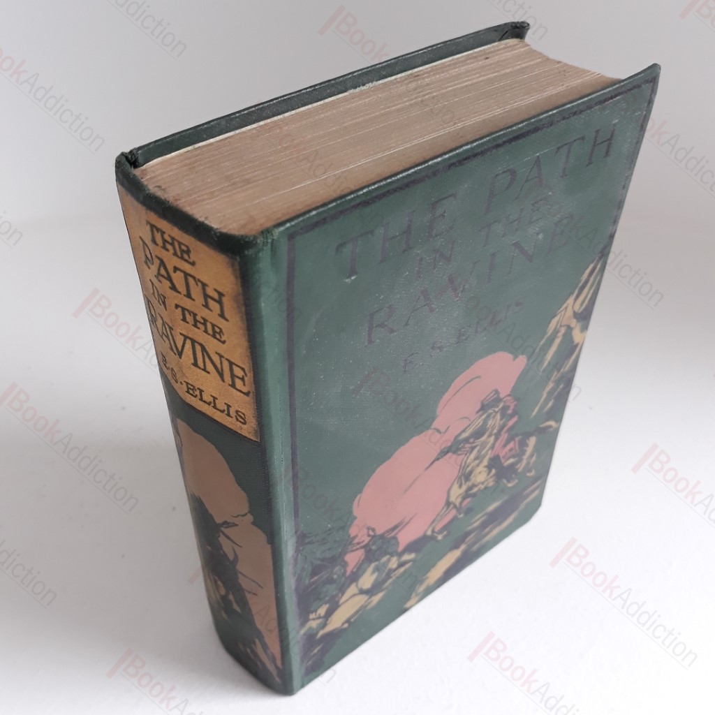 The Path in the Ravine