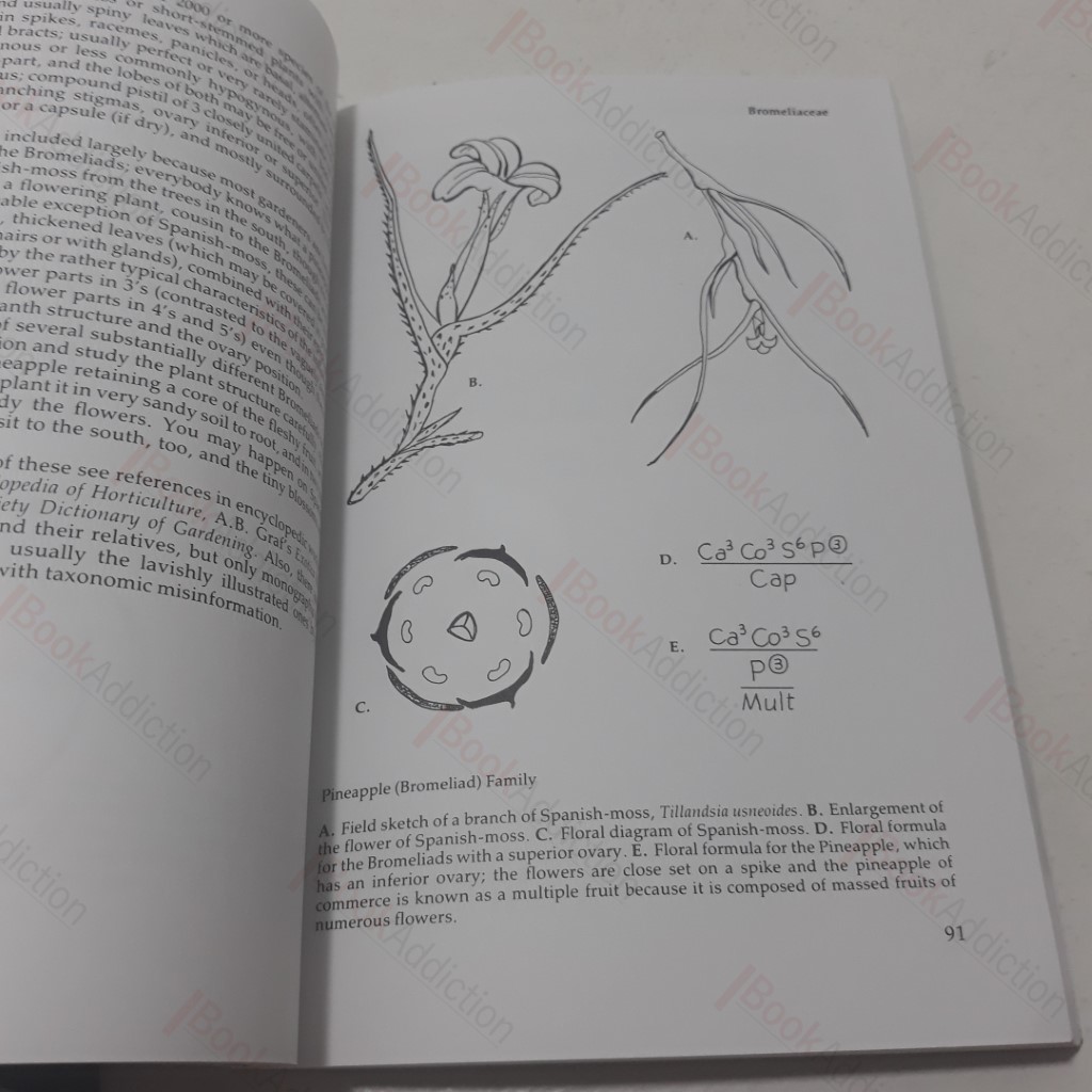 Dimanche and Other Stories