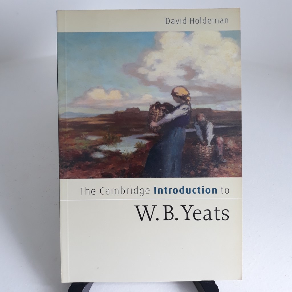 The Cambridge Introduction to W B Yeats (Cambridge Introductions to Literature)