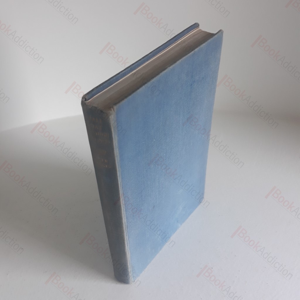 Small Boat Through Holland