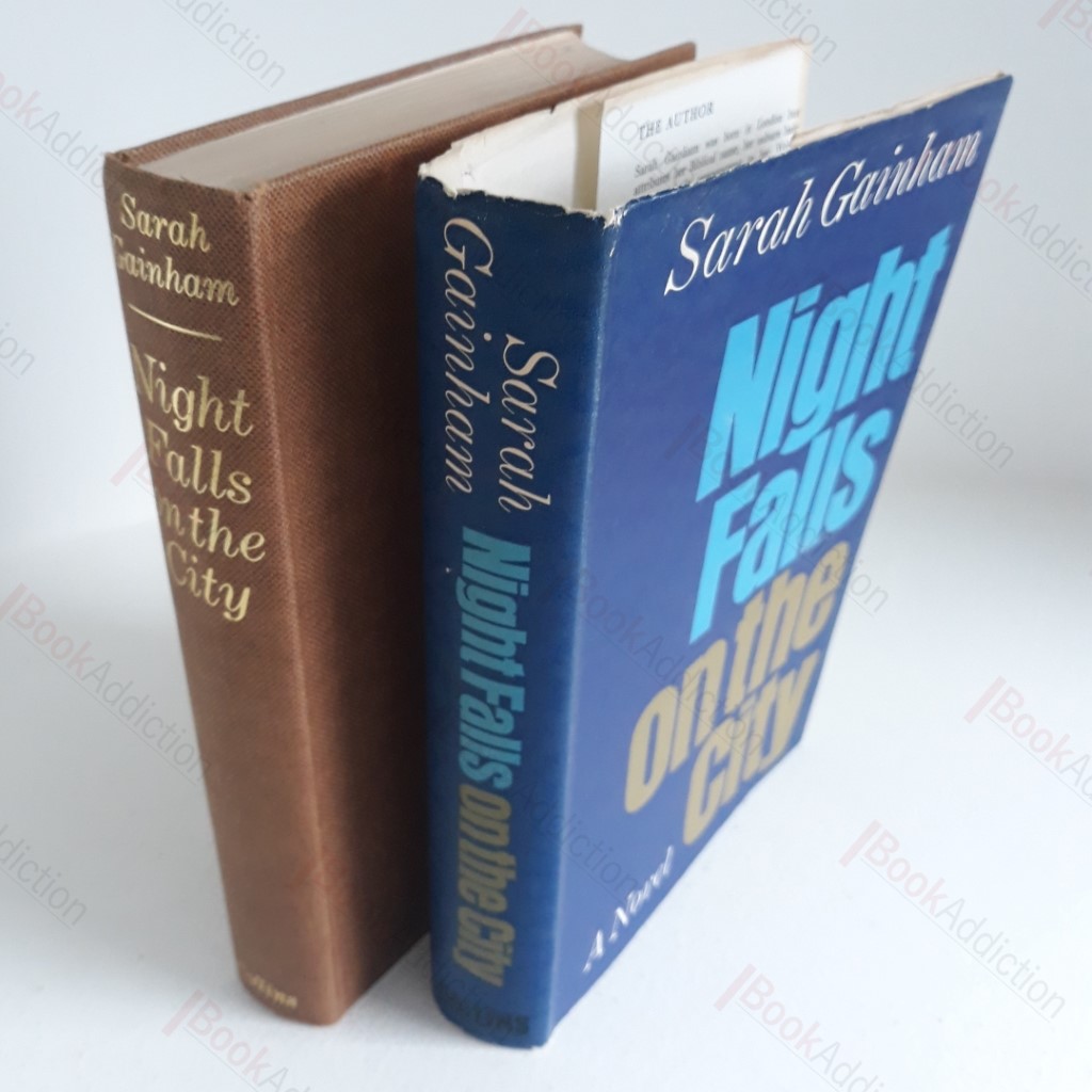 Night Falls on the City