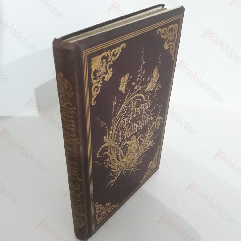 The Genera and Species of British Butterflies, Described and Arranged According to the System Now Adopted in the British Museum