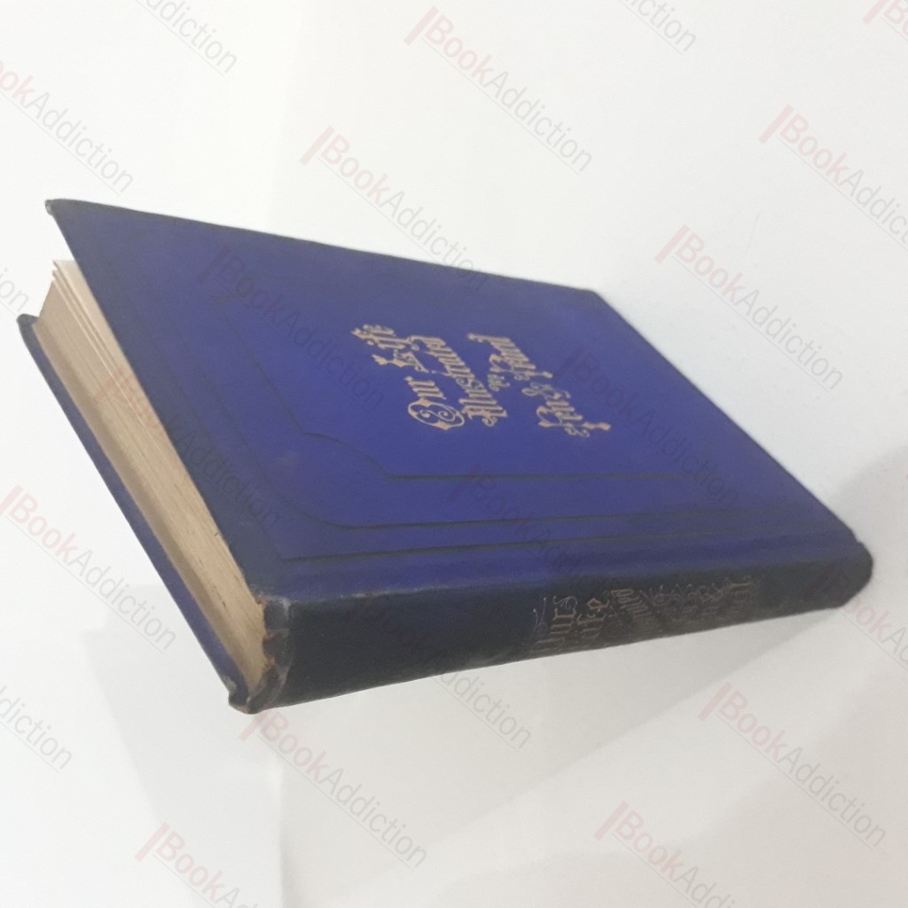 Our Life, Illustrated by Pen and Pencil