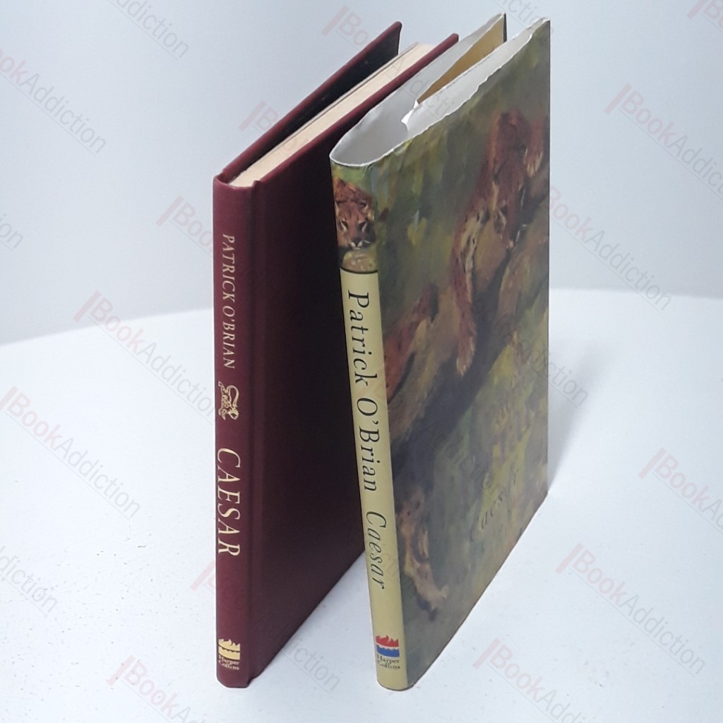 Caesar : The Life Story of a Panda Leopard