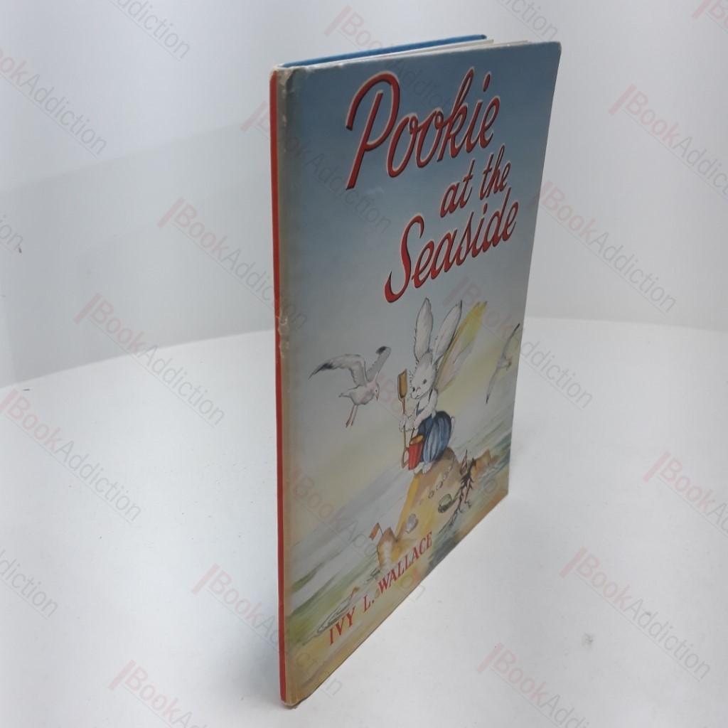 Pookie at the Seaside