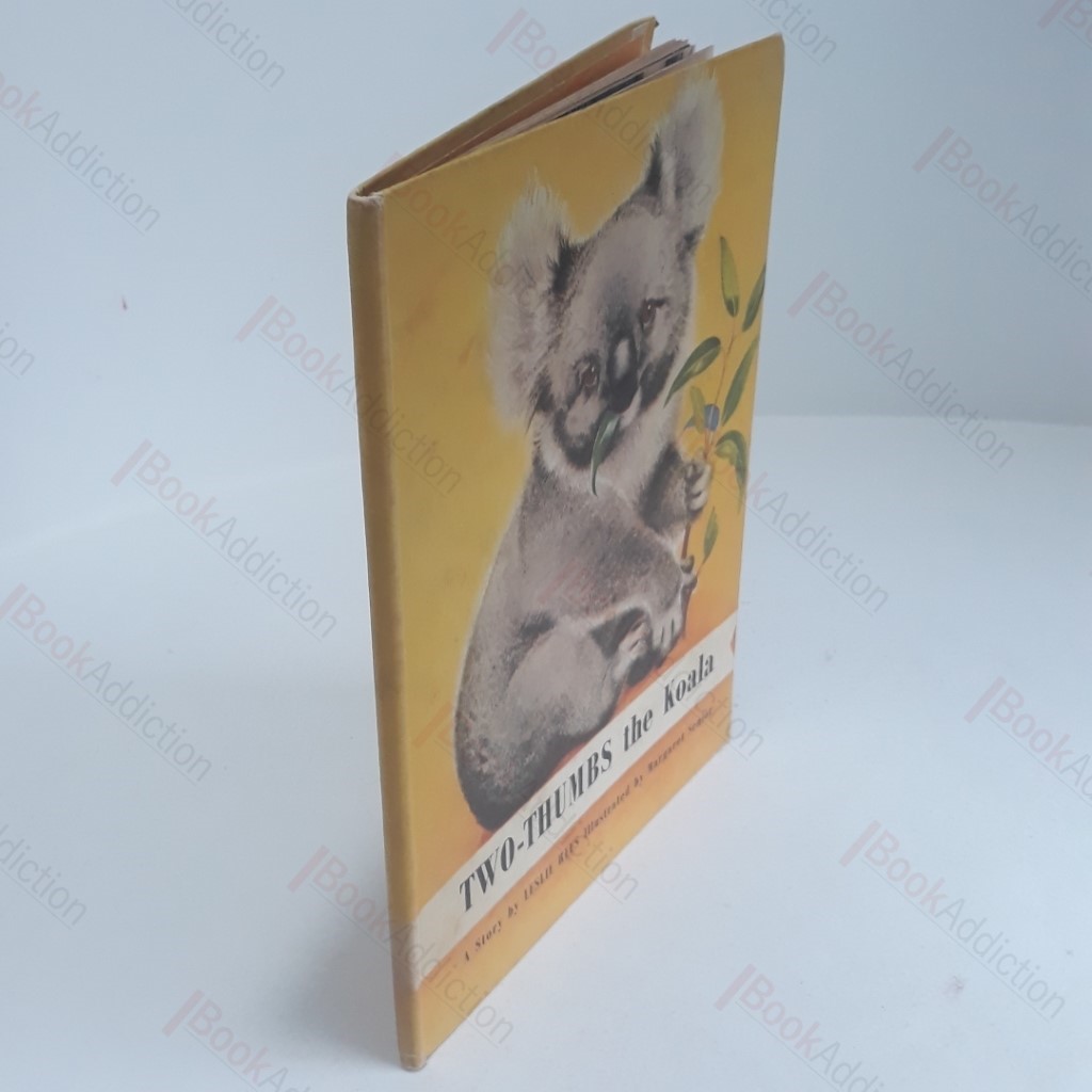 Two-Thumbs the Koala