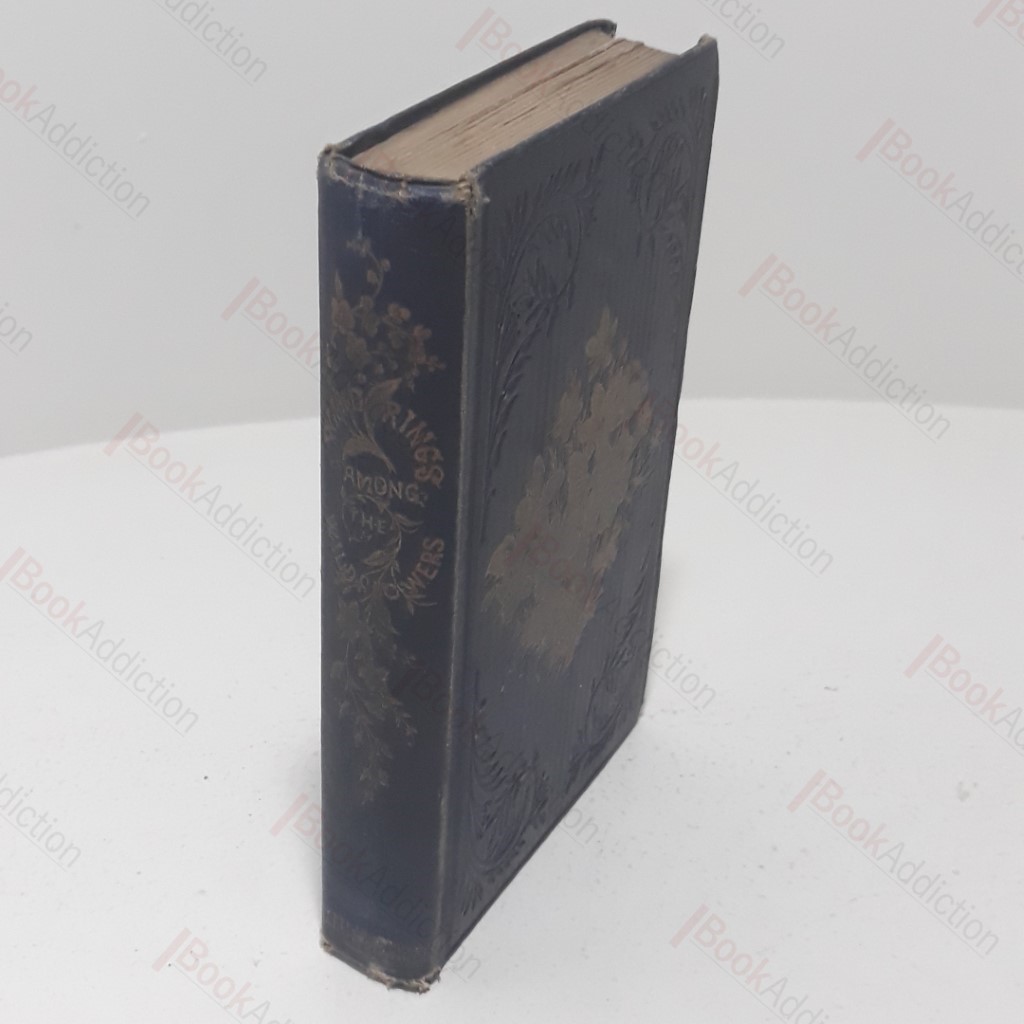 Wanderings Among the Wild Flowers : How to See and How to Gather Them