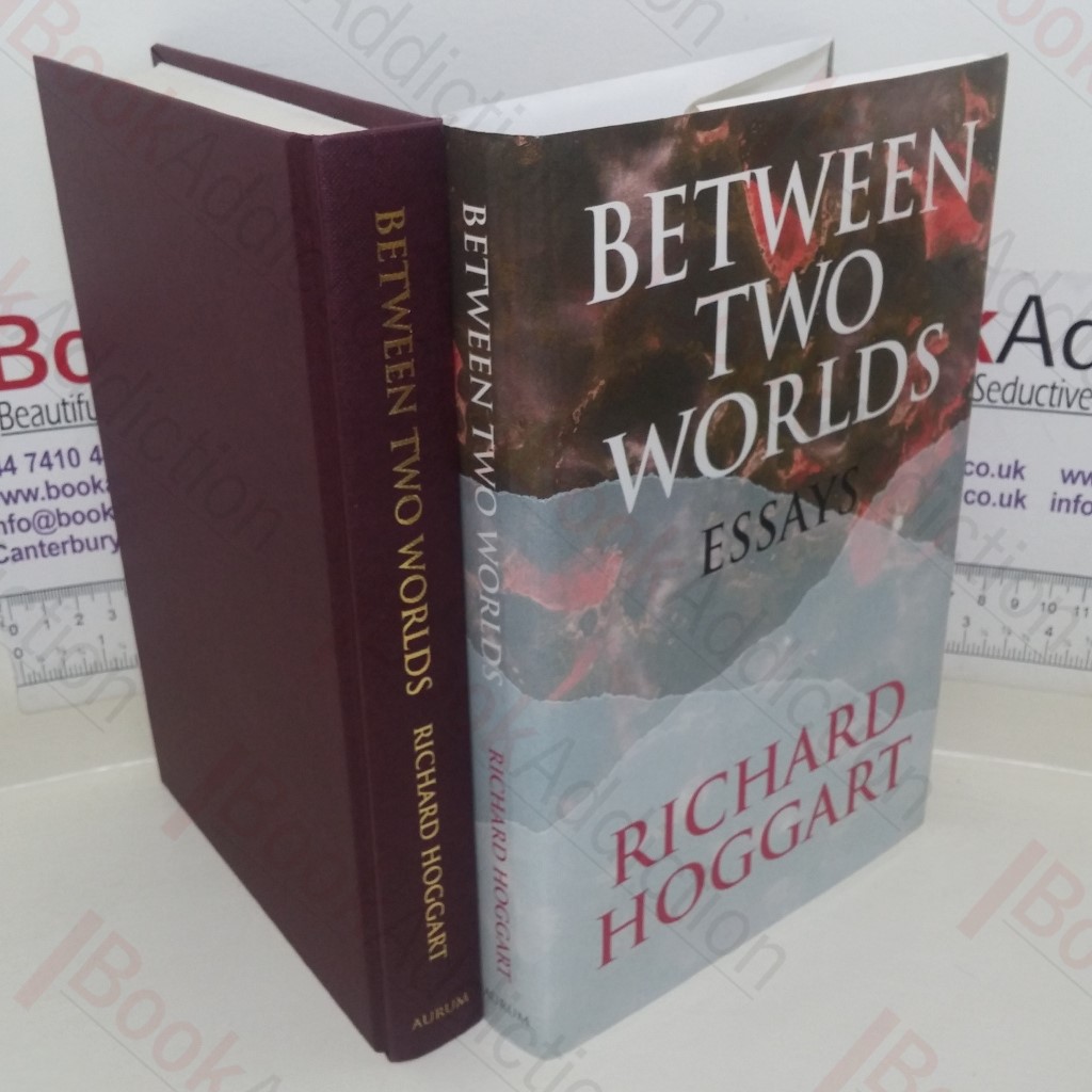 Norman Bones Detective