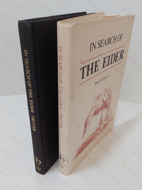 In Search of the Eider