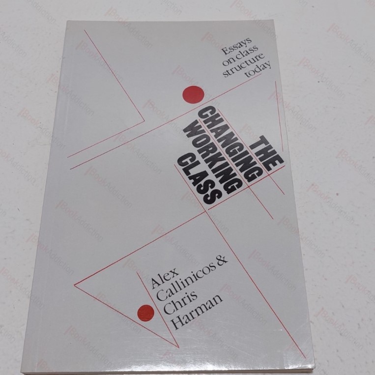 The Changing Working Class : Essays on Class Structure Today