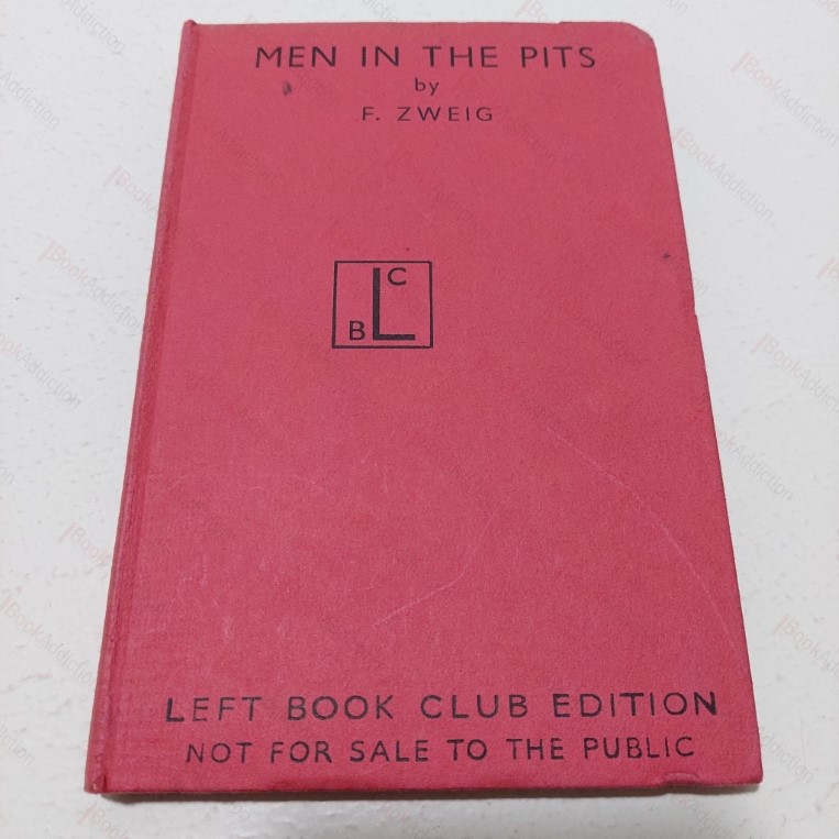 The Scope of Government : Beliefs in Government