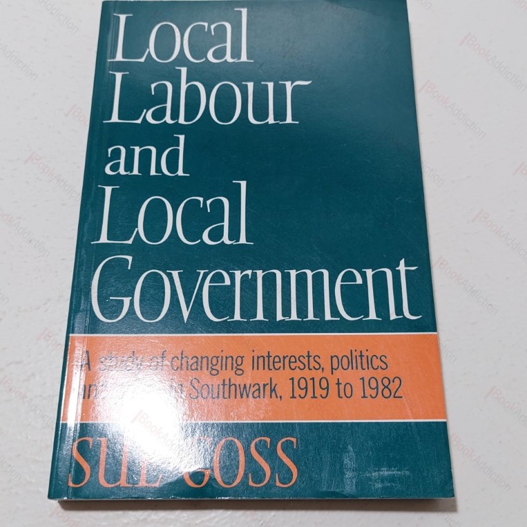 Local Labour and Local Government :  A Study of Changing Interests, Politics and Policy in Southwark, 1919-82