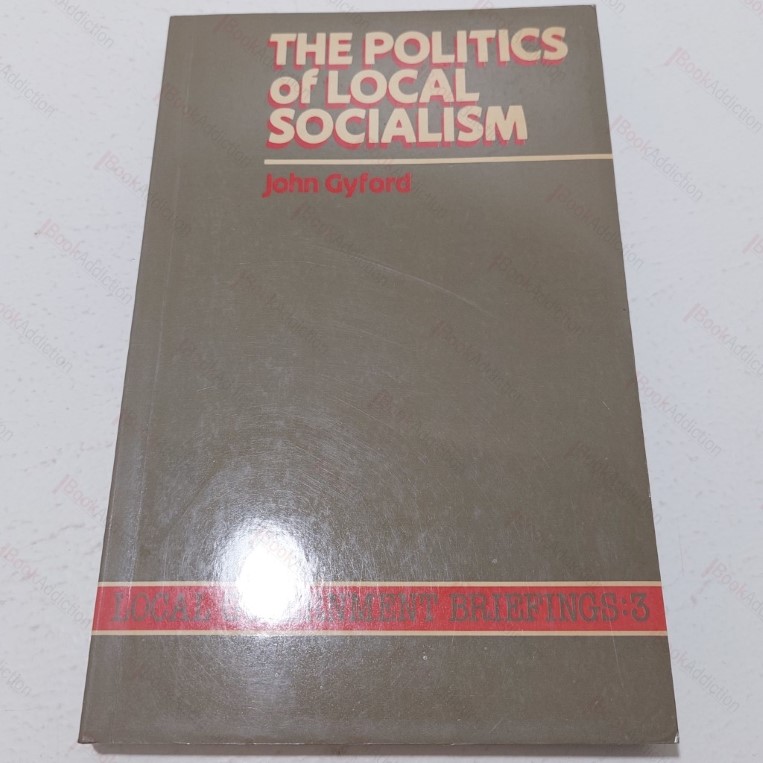 The Politics of Local Socialism (Local Government Briefings)