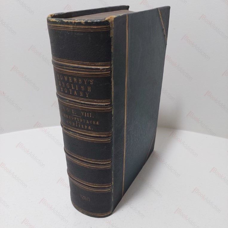 English Botany, Or Coloured Figures of British Plants [Sowerby's English Botany, Volume VIII, Chenopodiaceae to Coniferae]