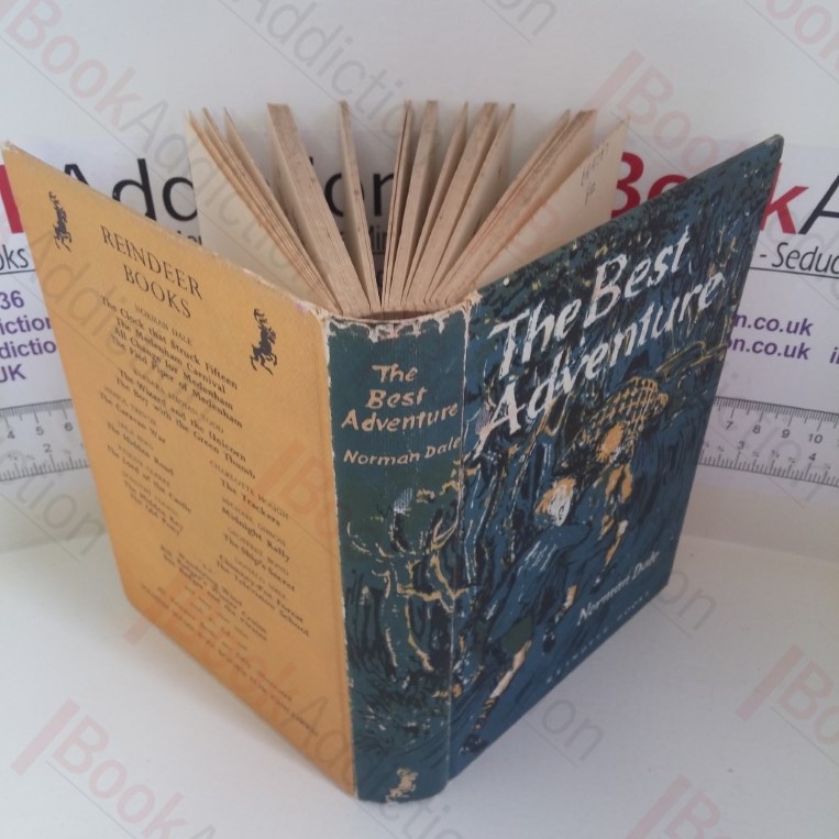 The Best Adventure (Reindeer Books)