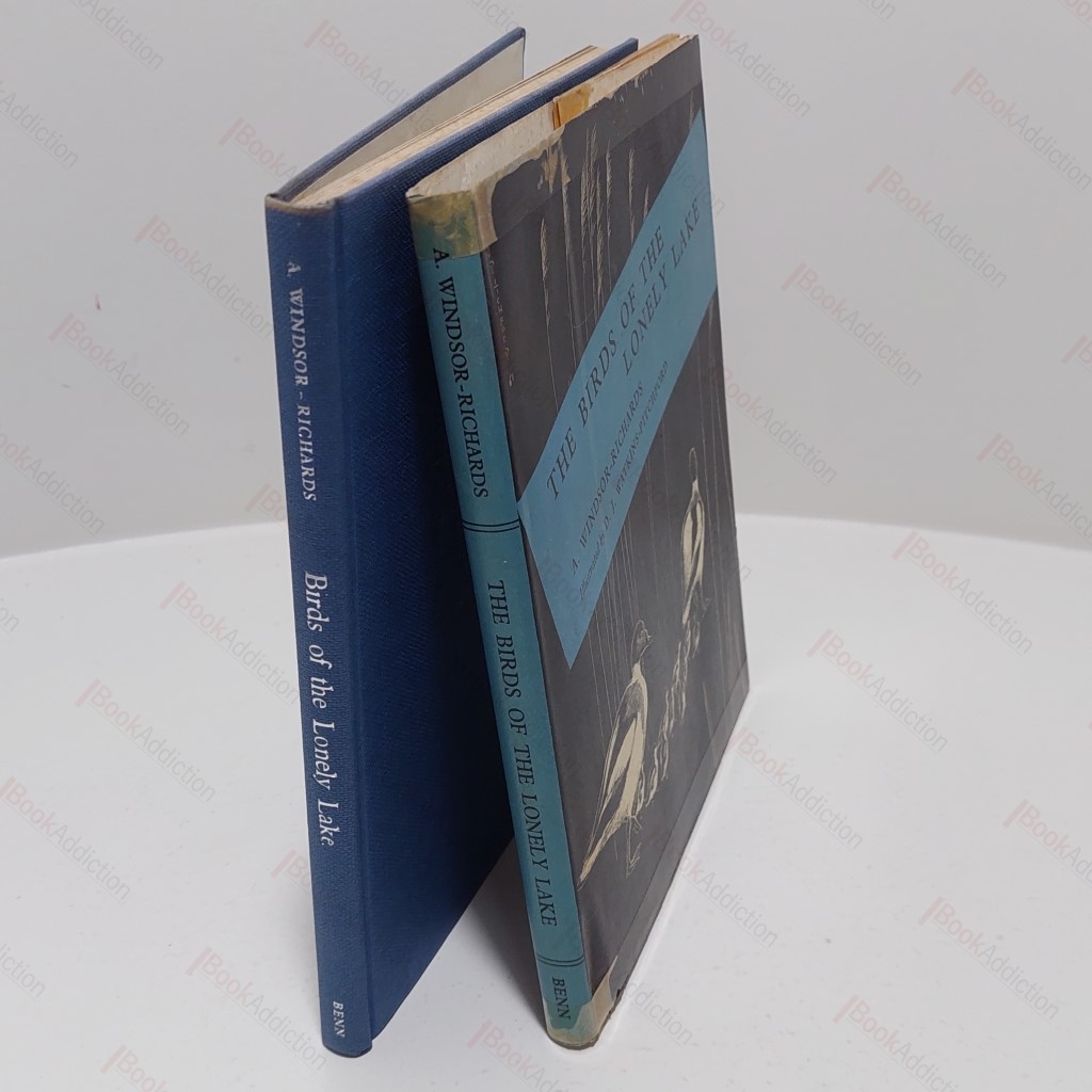 Birds of the Lonely Lake