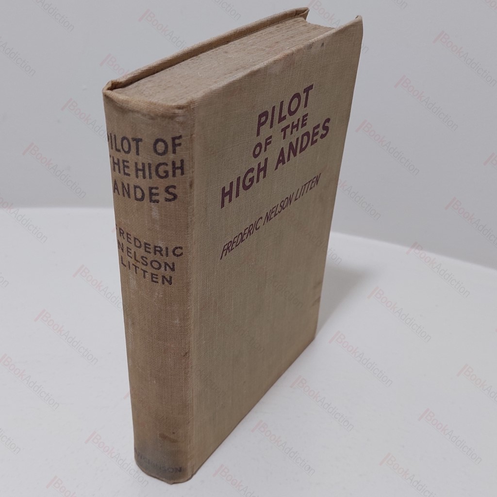 Pilot of the High Andes