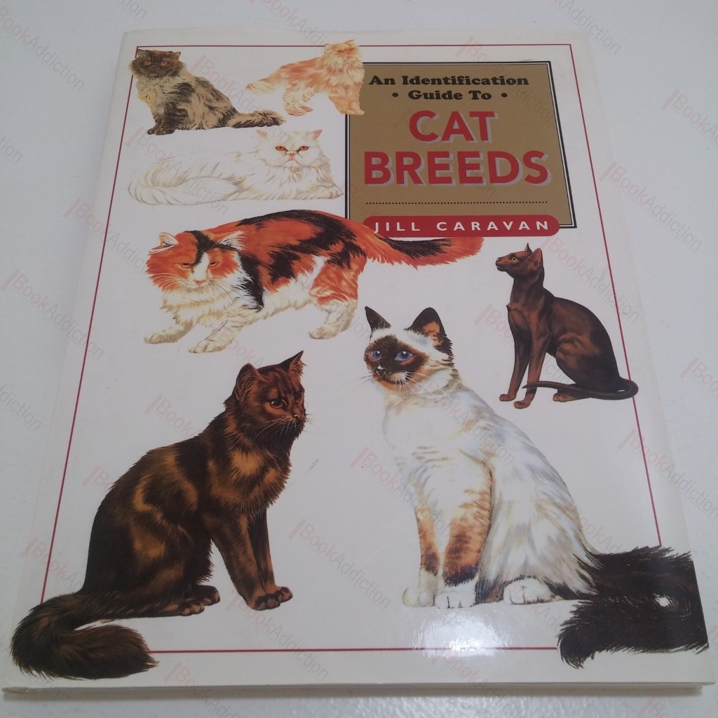 An Identification Guide to Cat Breeds
