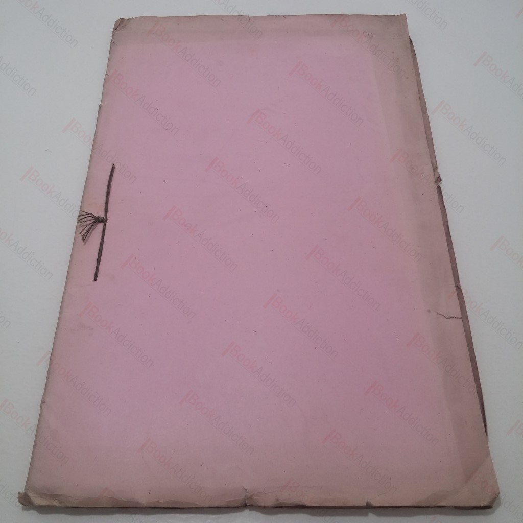 The Patient Vanishes [This Man is Dangerous] Film Script (Dialogue Sheets)