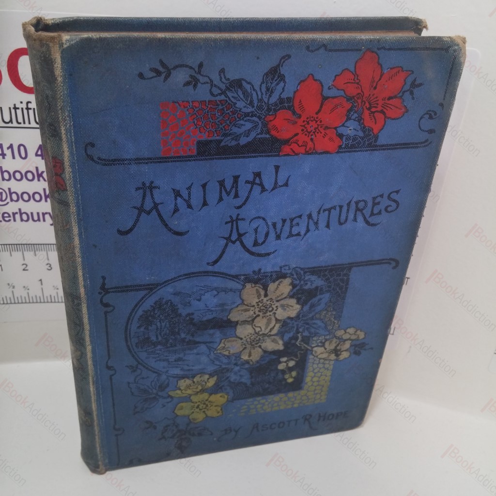 Animal Adventures