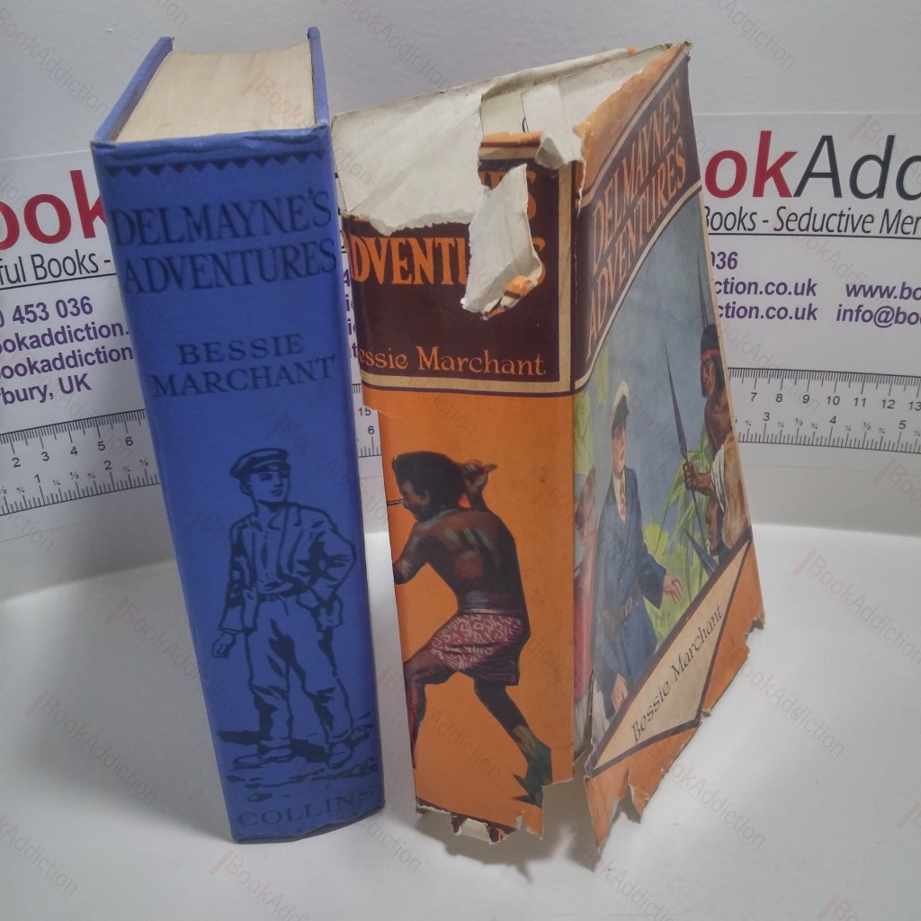 Delmayne's Adventures