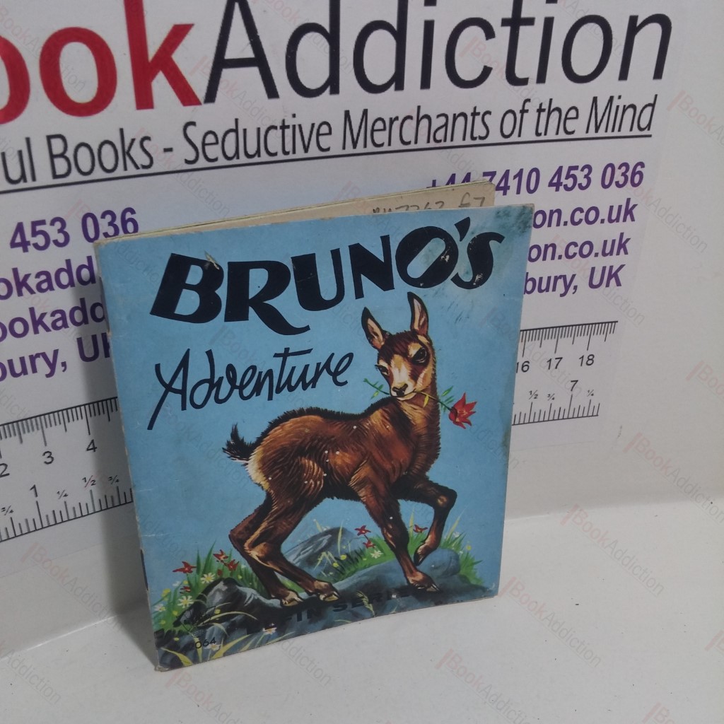 Bruno's Adventure