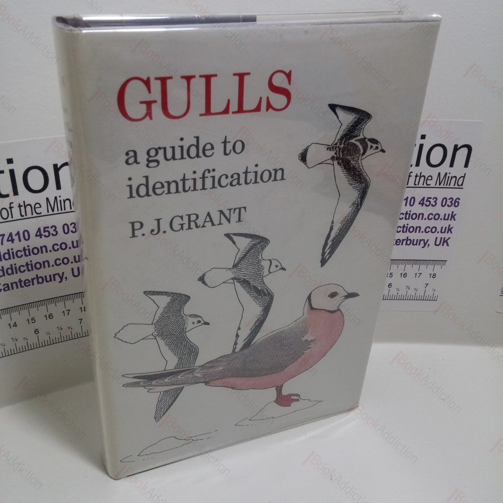 Gulls: A Guide to Identification