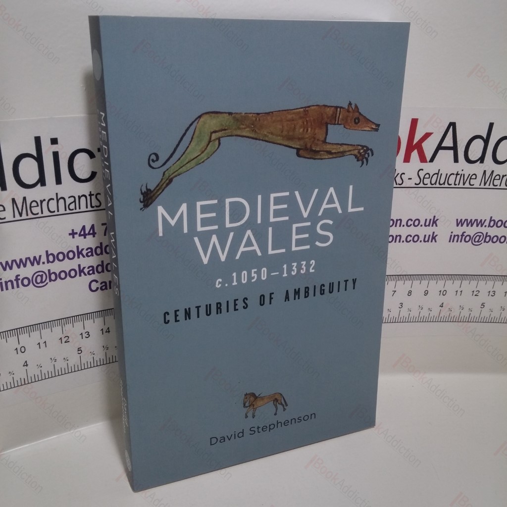 Medieval Wales c.1050-1332 : Centuries of Ambiguity (Rethinking the History of Wales Series)