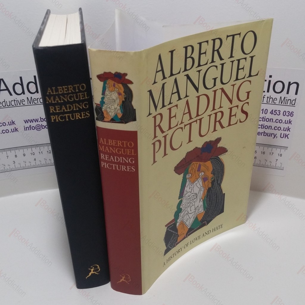 Reading Pictures : A History of Love and Hate