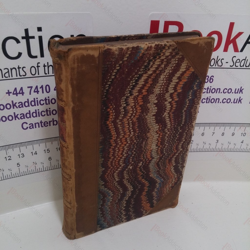 Stuyvesant : A Franconia Story