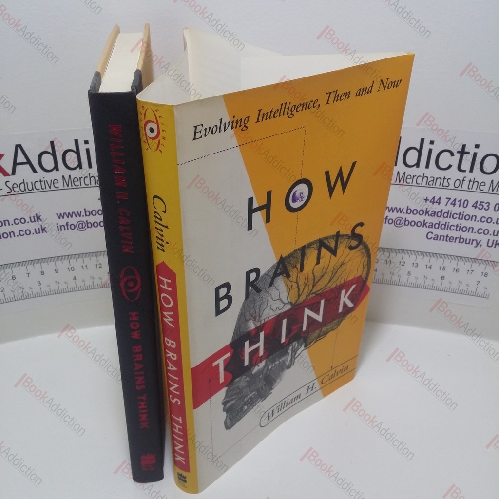 How Brains Think : Evolving Intelligences, Then and Now