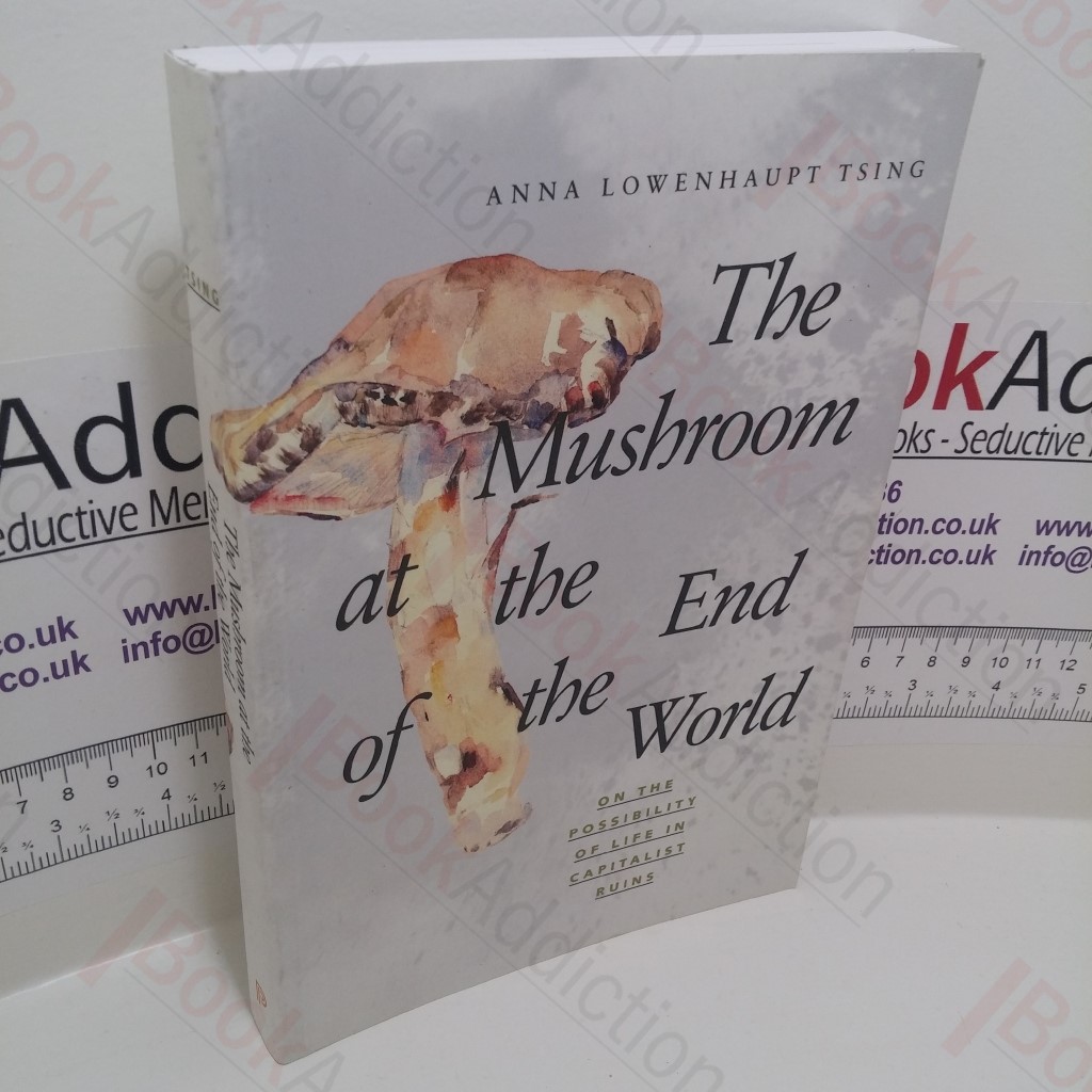 The Mushroom at the End of the World : On the Possibility of Life in Capitalist Ruins