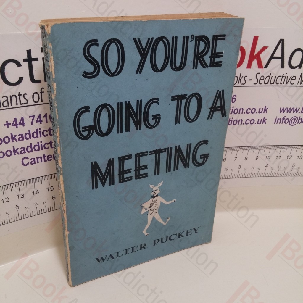So You're Going to a Meeting