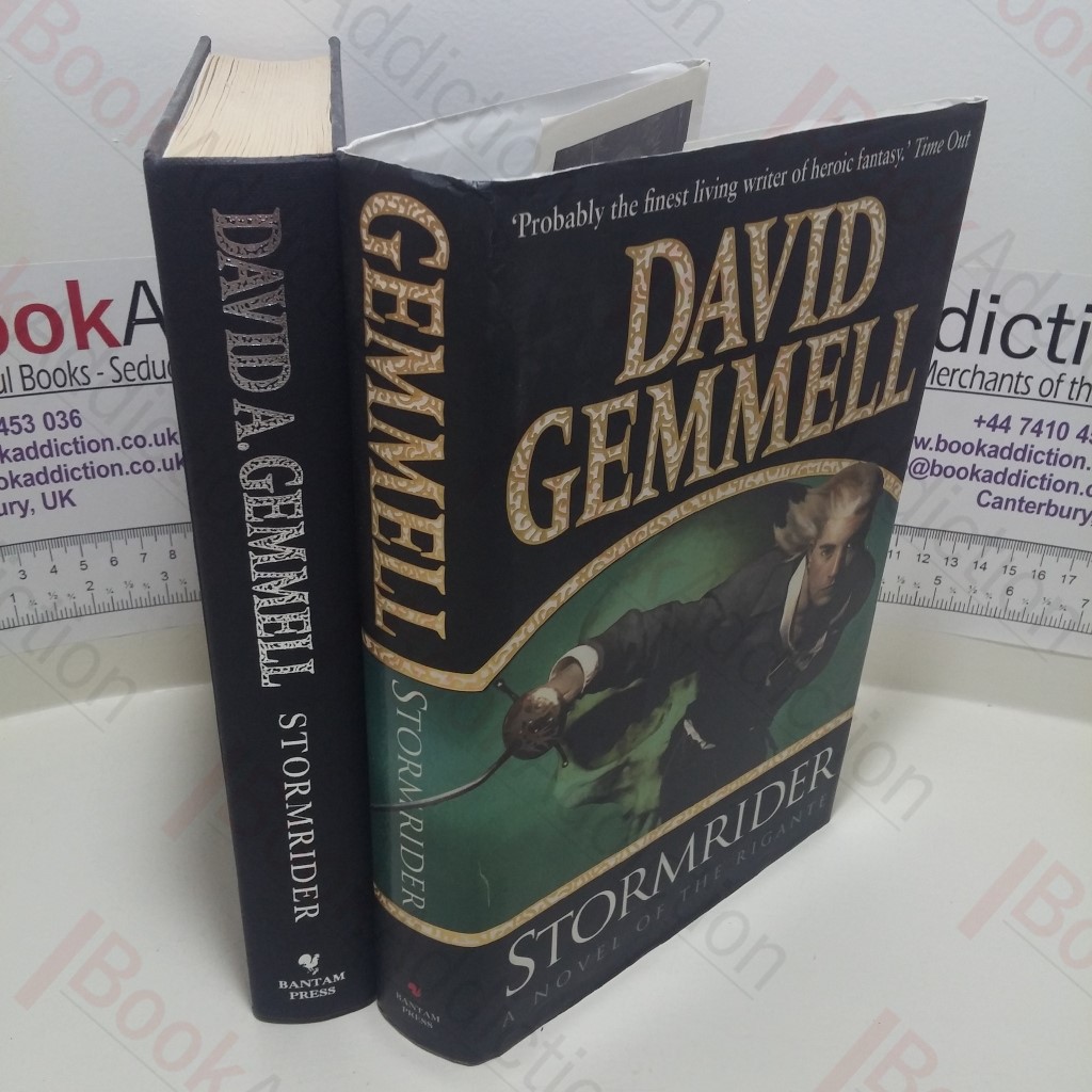 Stormrider : A Novel of the Rigante