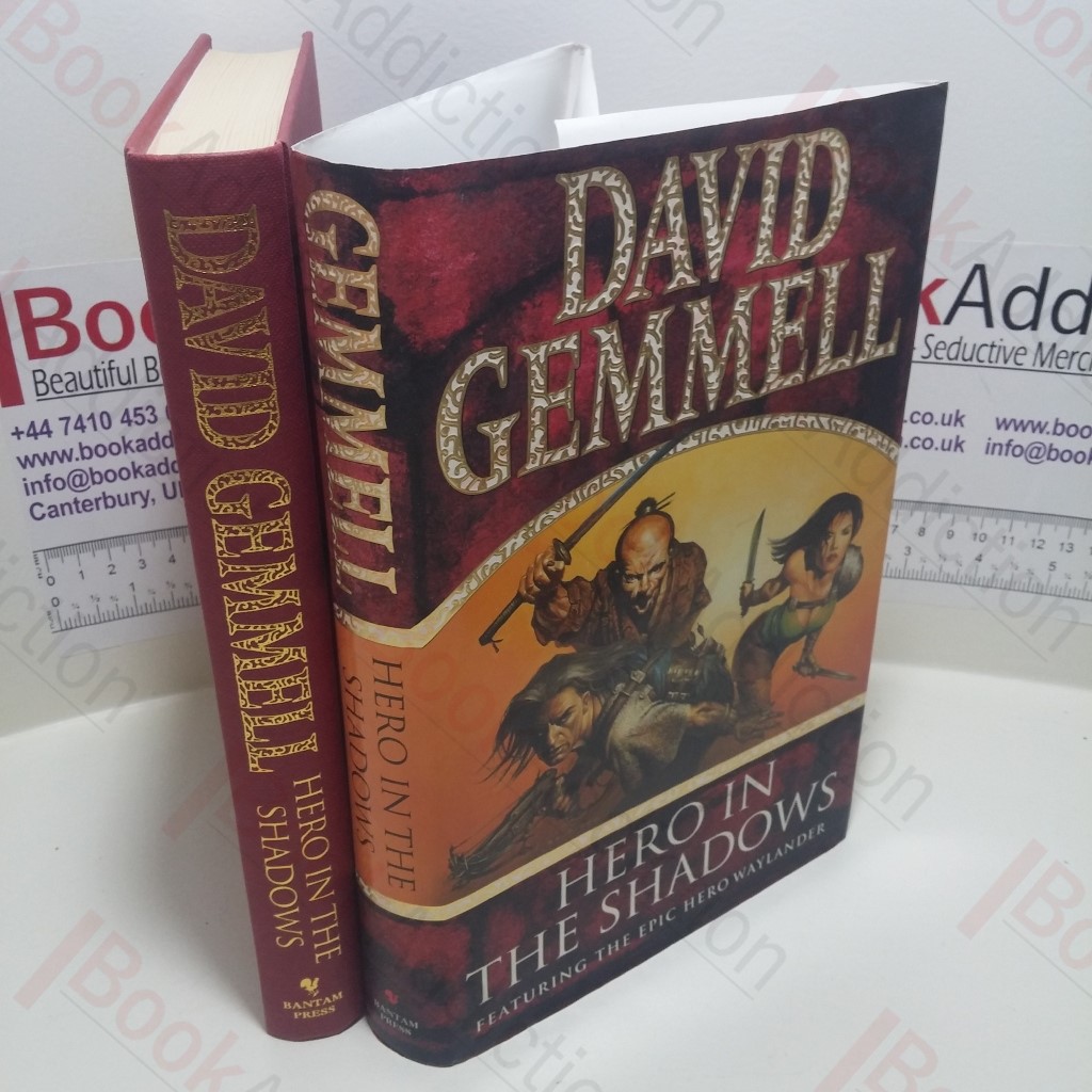 Hero in the Shadows (Waylander)