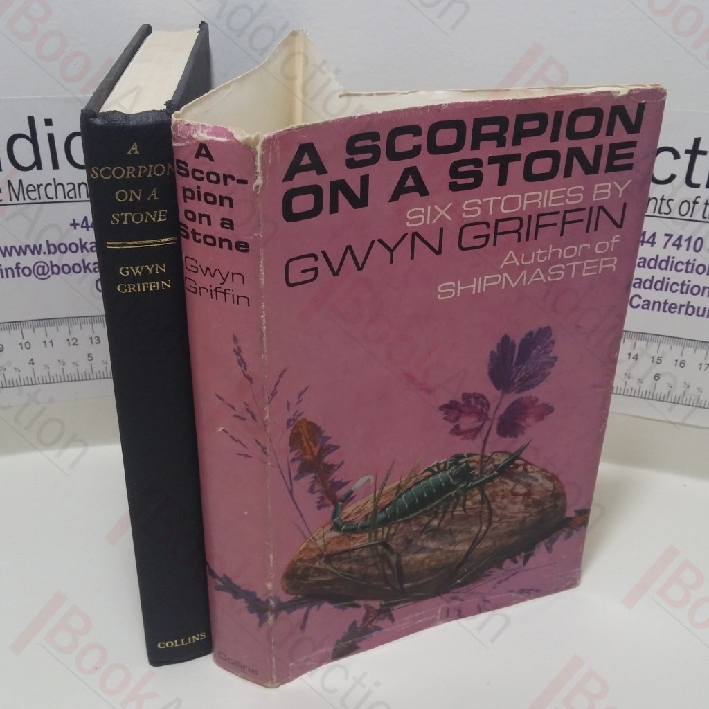 A Scorpion on a Stone