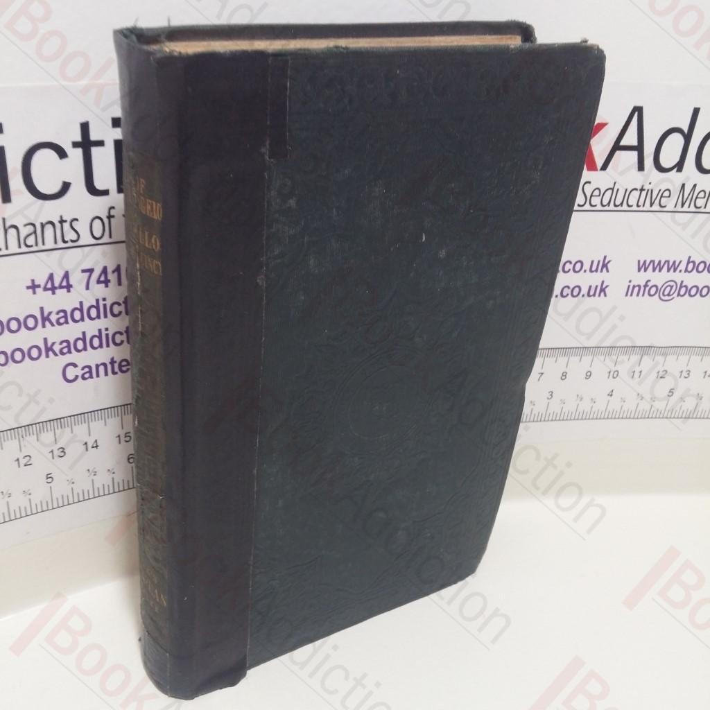 Lives of the Italian Painters : Michel Angelo / Raffaello