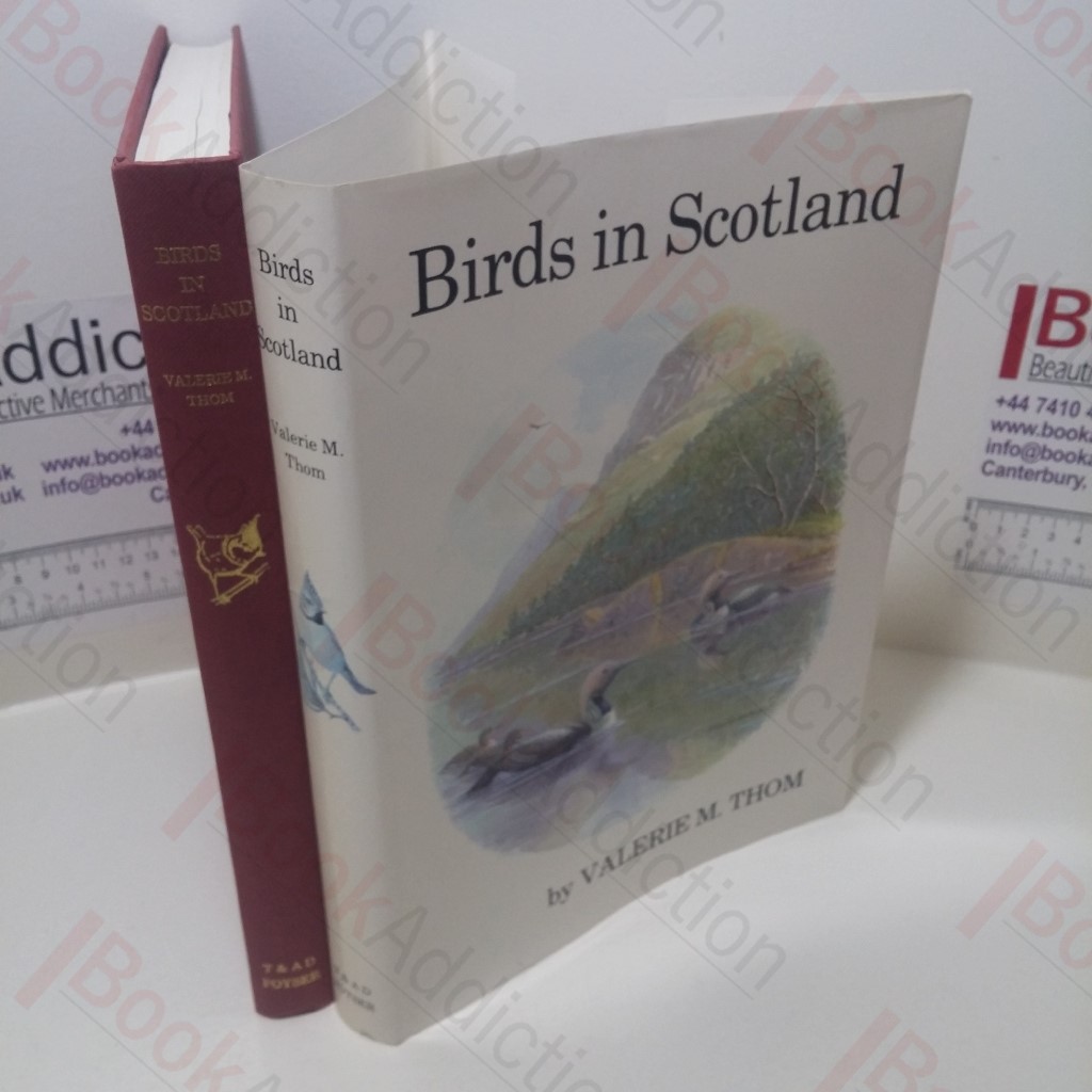 Birds in Scotland