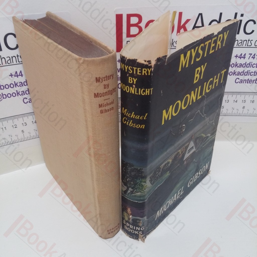 Mystery By Moonlight