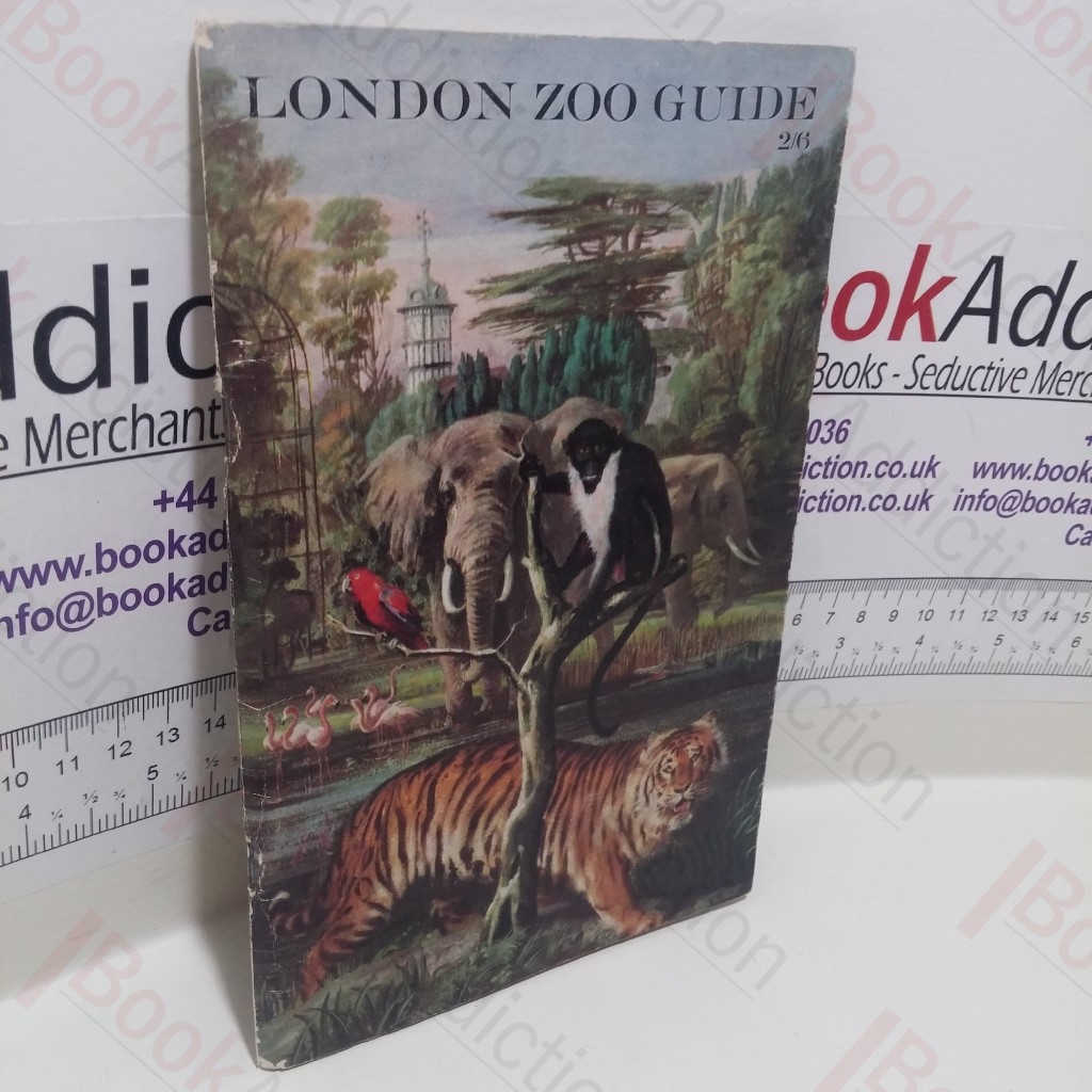 London Zoo Guide