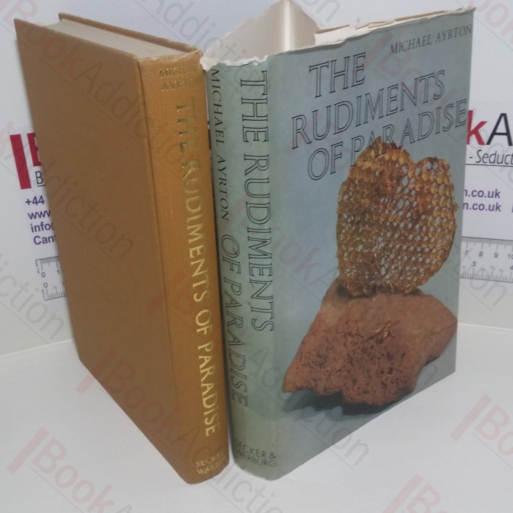 The Rudiments of Paradise : Various Essays on Various Arts