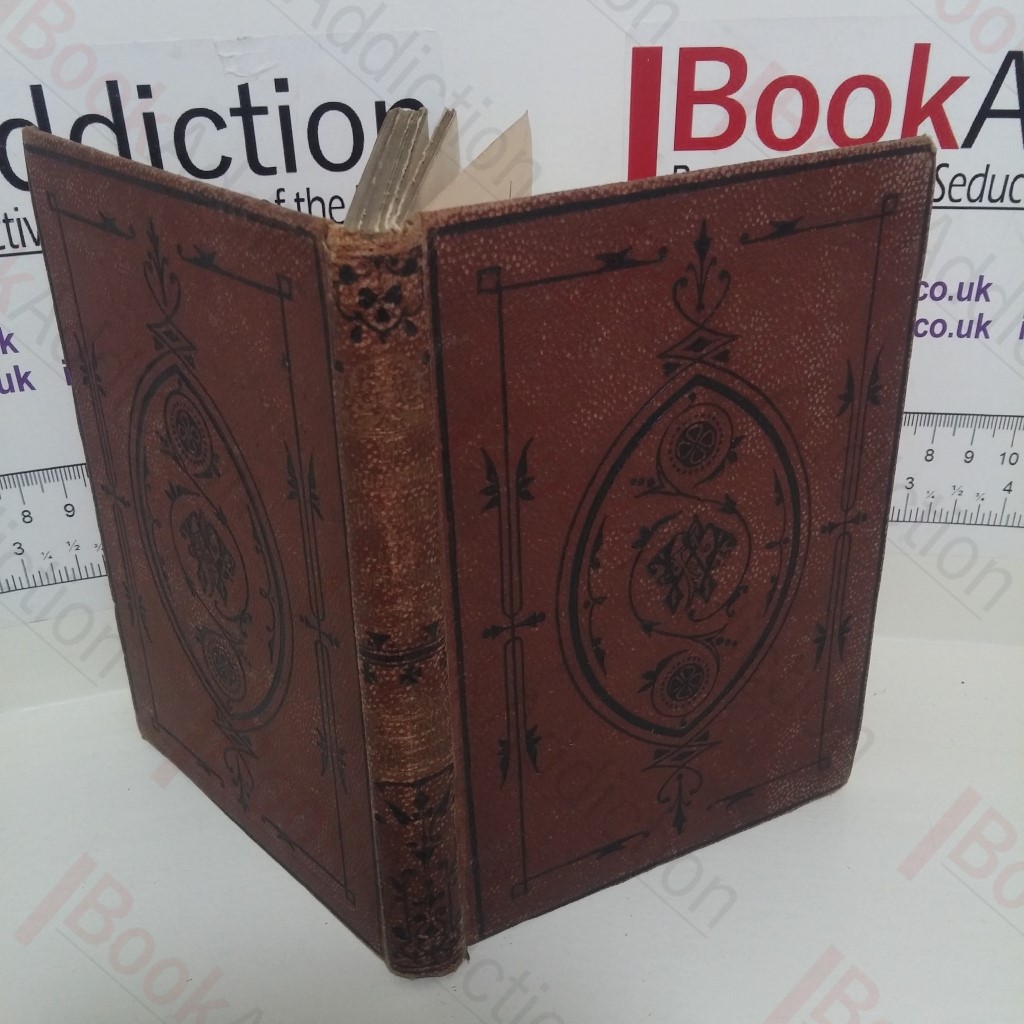 Mr Rutherford's Children